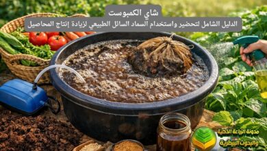شاي الكمبوست: الدليل الشامل لتحضير واستخدام السماد السائل الطبيعي لزيادة إنتاج المحاصيل