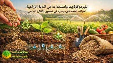 الفيرموكولايت واستخدامه في التربة الزراعية: الفوائد، الخصائص، ودوره في تحسين الإنتاج الزراعي