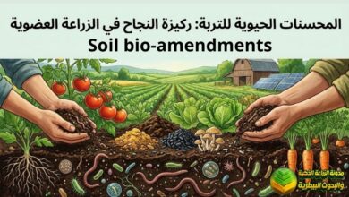 المحسنات الحيوية للتربة: ركيزة النجاح في الزراعة العضوية