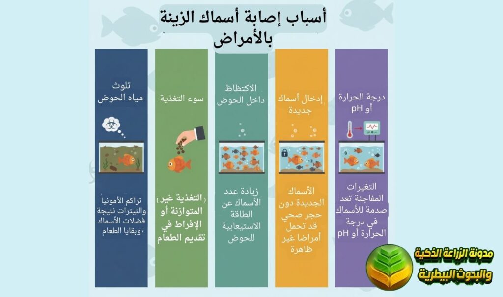 أسباب إصابة أسماك الزينة بالأمراض