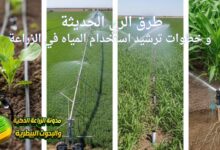طرق الري الحديثة و خطوات ترشيد استخدام المياه في الزراعة