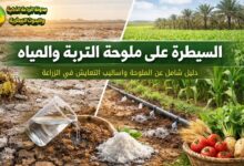 ملوحة التربة: استراتيجيات فعالة وأساليب ذكية للتعايش مع الملوحة في الزراعة الحديثة