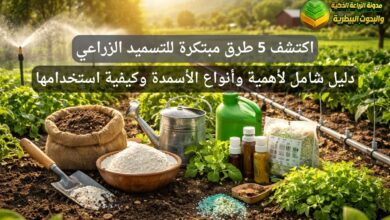 تعرف على 5 طرق من التسميد الزراعي: أهمية الأسمدة وأنواعها وكيفية استخدامها