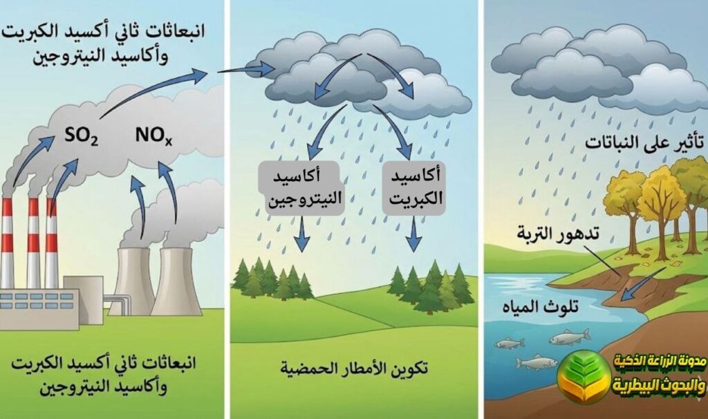 تكوين الأمطار الحمضية بسبب تلوث الهواء