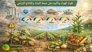 تلوث الهواء وتأثيره على صحة النبات والإنتاج الزراعي