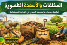 الأسمدة العضوية أو المخلفات العضوية انواعها واشكالها ومصادرها