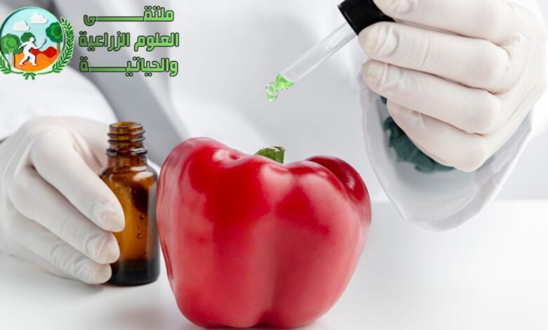 الأحماض الأمينية: انواع الاحماض الامينيه وخواصها وتركيبها الكيميائي