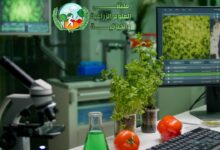 تأثير الذكاء الصناعي في تطوير الزراعة