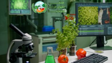 تأثير الذكاء الصناعي في تطوير الزراعة