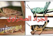 كتاب مكافحة الجراد الصحراوي