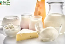 الألبان: أهميتة وفوائد وأضرار منتجات الالبان الغذائية والتأثيرات البيئية على اللبن