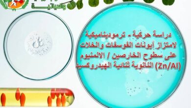 دراسة حركية - ترموديناميكية لامتزاز أيونات الفوسفات والخلات على سطوح الخارصين / الالمنيوم (Zn/Al) النانوية ثنائية الهيدروكسيد