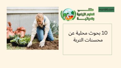 10 بحوث محلية عن محسنات التربة