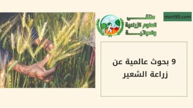 9 بحوث عالمية عن زراعة الشعير