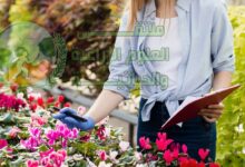 دليل تصميم وتنسيق الحدائق المنزلية الحديثة وفق أسس علمية وزراعية