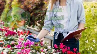 دليل تصميم وتنسيق الحدائق المنزلية الحديثة وفق أسس علمية وزراعية