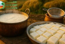 صناعة قيمر العرب (العراقي): التراث الأصيل ومراحل الإنتاج من الحليب إلى المائدة