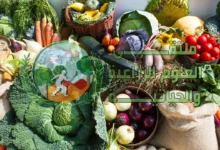 أهم المحاصيل الشتوية ومواعيد زراعتها وأهم الآفات لها والعلاج في 2026