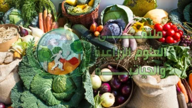 أهم المحاصيل الشتوية ومواعيد زراعتها وأهم الآفات لها والعلاج في 2026