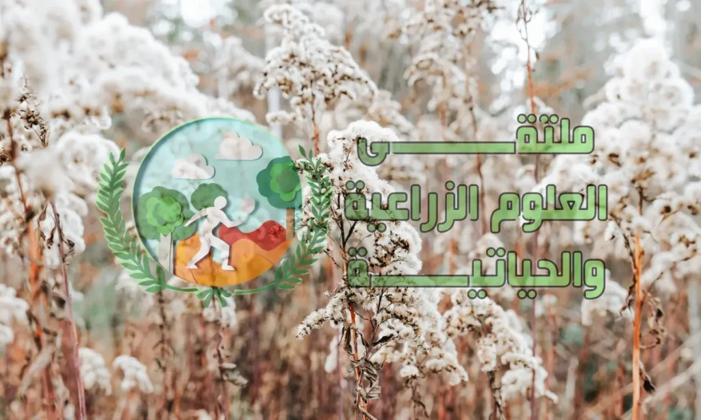 ما هي المحاصيل الشتوية؟