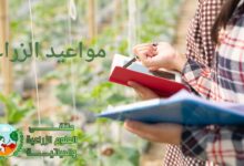 مواعيد الزراعة الصحيحة للمحاصيل الزراعية: دليل شامل حسب الفصول والمناخ