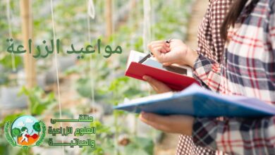 مواعيد الزراعة الصحيحة للمحاصيل الزراعية: دليل شامل حسب الفصول والمناخ